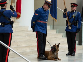 Edmonton Police Service Recruit Training Class No. 153 officers are seen during their graduation ceremony at city hall in Edmonton, on Friday, May 13, 2022.