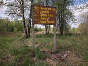 The Ojibway Prairie Provincial Nature Center is shown on Monday, May 16, 2022.