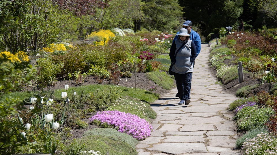 A woman and a man are walking down a flowery alley.