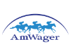 AmWager square logo
