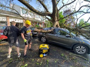 Paul McMahon (in a yellow hard hat) and his son Matt work to remove the enormous tree that crushed their new Honda in the driveway of their Liard Street home Saturday.
