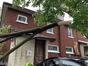 A tree branch fell on the back shed roof of a house on Cameron Avenue in Old Ottawa South during the storm Saturday afternoon.