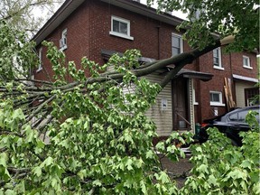 A tree branch fell on the back shed roof of a house on Cameron Avenue in Old Ottawa South during the storm Saturday afternoon.