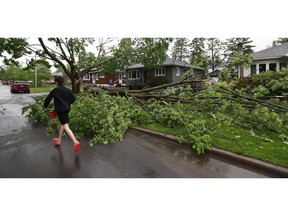 A powerful storm rolled through Ottawa Saturday, downing trees and flooding streets.