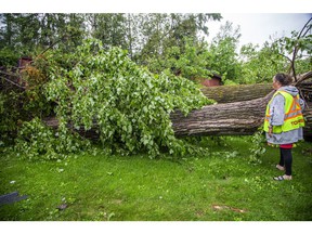 The Stittsville area and many other parts of the Ottawa region were hit by a powerful storm on Saturday, May 21, 2022. Karrie Phythian showed off the damage to one of her neighbours homes on Henry Goulburn Way Saturday evening.