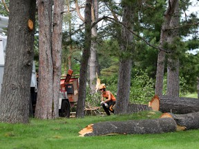 Crews are seen cleaning up the Ottawa Hunt and Golf Club on Wednesday, May 25, 2022.