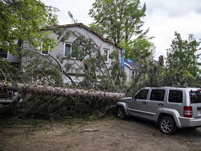 The Pineglen area off of Merivale Road was heavily damaged by Saturday's devastating storm. Hastings Utilities Contracting Ltd., a contractor along with Hydro Ottawa were working on clearing lines in the area and moving the trees and rubble.