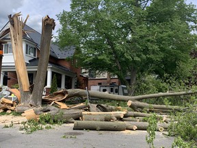 Ottawa. May 24, 2022: Workers began chopping down branches and clearing up debris Tuesday after A massive tree split apart in Saturday?s storm on Belmont Avenue in Old Ottawa South.Photo by Jacquie Miller