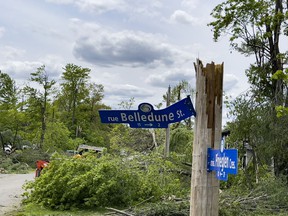 OTTAWA -- Street sign pole at Belldune Street and Pineglen Crescent was snapped off in last weekend's storm. Tuesday, May. 24, 2022 -- . ERROL MCGIHON, Postmedia