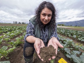 Renee Prasad is an associate professor of agriculture at the University of Fraser Valley checking for soil contamination.