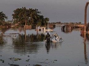 Flooding in Unity State, South Sudan.  People's homes and livelihoods, including crops and cattle, as well as health facilities, schools and markets, are completely submerged by floodwaters.