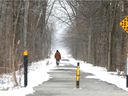 A man walks his dog north of Ojibway Street in the South Cameron Woodlot.  The trail connects two portions of Randolph Avenue.