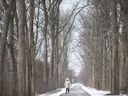 A woman walks along a path in the South Cameron woodlot connecting Randolph Avenue on March 1, 2019.