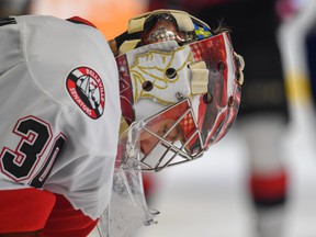 Goalie Filip Gustavsson and the Belleville Senators were eliminated from the playoffs.