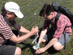 hometopics Estuaries' vast potential for climate mitigation May 6, 2022 Share: FacebookTwitterLinkedInEmail University of Victoria Professor and Ocean Networks Canada Chief Scientist Kim Juniper (left) and graduate Tristan Douglas extracting a sediment core from an eelgrass meadow for blue carbon assessment in the Cowichan Estuary on Vancouver Island