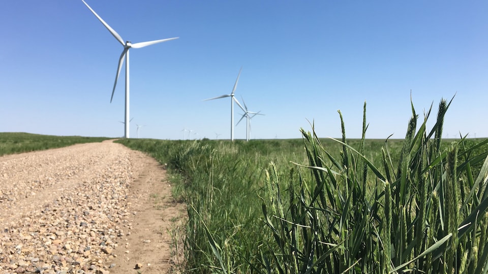Wind turbines in Blackspring Ridge Park in southern Alberta.  Enbridge owns 50% of the fleet. 