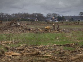 In this April 25, 2022, file photo, trees are cleared at the site of the future battery plant, on EC Row Avenue East and Banwell Road in Windsor.