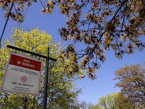 The Mercier—Hochelaga-Maisonneuve borough council last failed approved renaming Parc Beaujeu, about half a block from the discreet bungalow where Dr. Henry Morgentaler first performed abortions.  Now the decisions lie in the City of Montreal's hands.