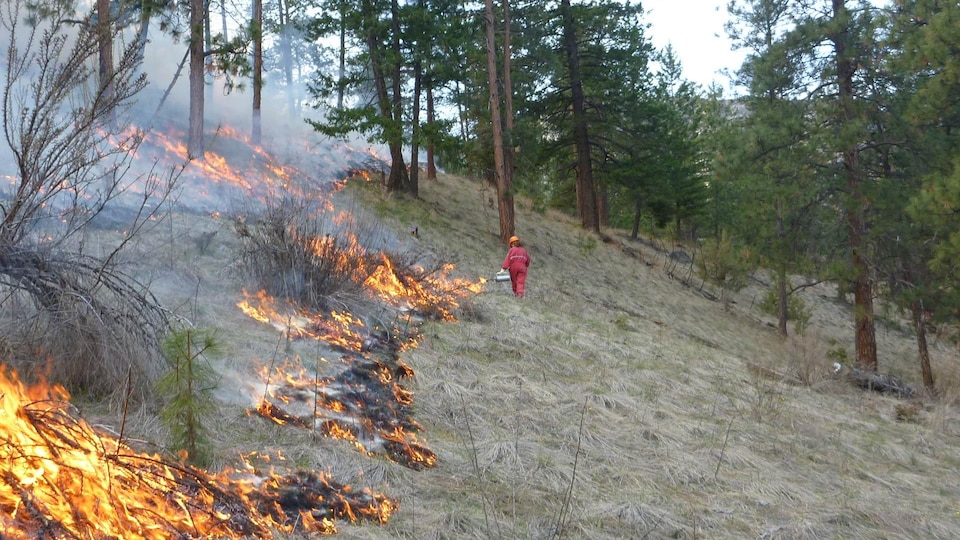 A person starts a fire on a hill.