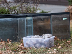 Reptile tanks are seen outside of a home damaged in a fire at 2014 112A St. in Edmonton on Wednesday, Nov. 10, 2021.
