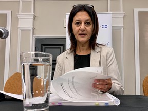 “COVID-19 took these already fragile long-term care centers by assault,” Quebec coroner Géhane Kamel said.  “Our most vulnerable seniors were kept in our government's blind spot.”