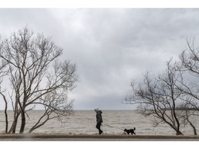 Yvonne Metcalf walks her dog Maxi, a Tibetan Terrier, along Lac St. Louis in Pointe-Claire last month.