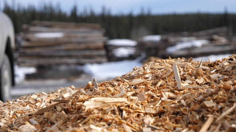 A close up shot of many wood chips at a sawmill.