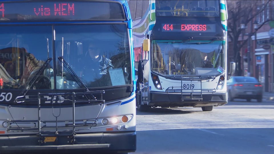 Two Edmonton Transit buses.