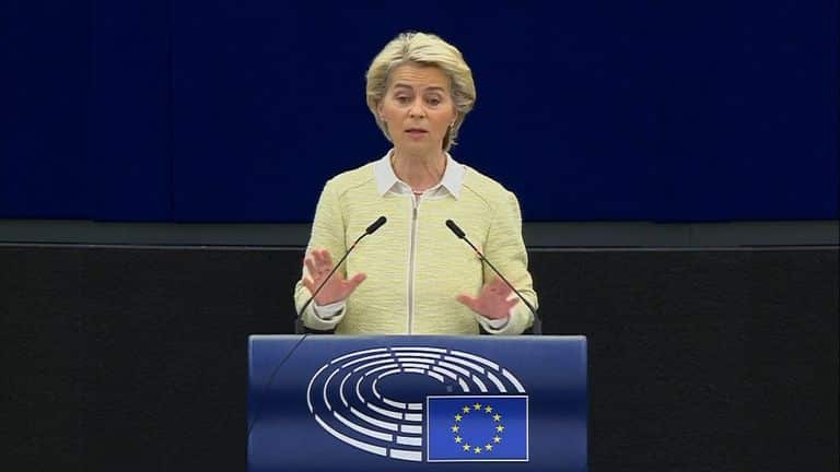 The head of the European Commission, Ursula von der Leyen