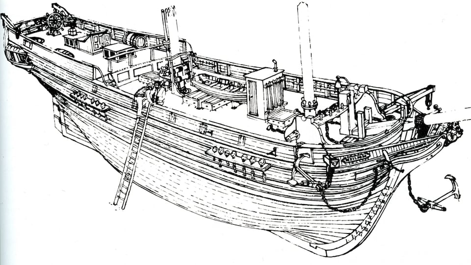 Illustration showing the appearance of the Scotsman.