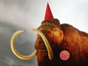 The Royal BC Museum's iconic woolly mammoth, decked out for its 40th birthday in 2020, may live at Vancouver International Airport during the transition period.