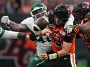 BC Lions quarterback Nathan Rourke is sacked by Saskatchewan Roughriders' Garrett Marino, back, and fumbles the ball during the first half of a pre-season CFL football game in Vancouver, BC, Friday, June 3, 2022.