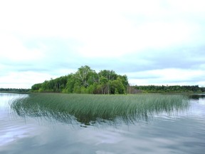 Aurion Mustus admitted last year to the 2018 killing of Peter Kaminski, at Kaminski's remote cabin on Lessard Lake.