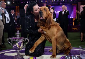 Trumpet, a Bloodhound, is kissed his handler Heather Helmer after winning “Best in Show” at the 146th Westminster Kennel Club Dog Show at the Lyndhurst Estate in Tarrytown, New York, US, June 22, 2022. REUTERS/Mike Segar