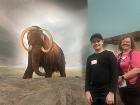 Fred Jennings and Geneva Standbridge look at the woolly mammoth in the Royal BC Museum on Thursday, a day after Premier John Horgan announced the province is scrapping the $789-million replacement project.  Credit: Katie DeRosa/PNG