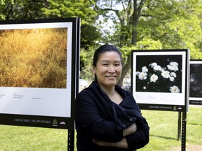 Hua Jin is the visual artist behind The Art of Haiku at the Peace Park Arboretum in Dorval.