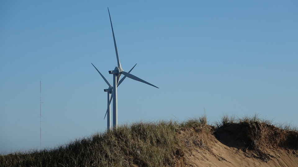 Two wind turbines with a dune in the foreground.