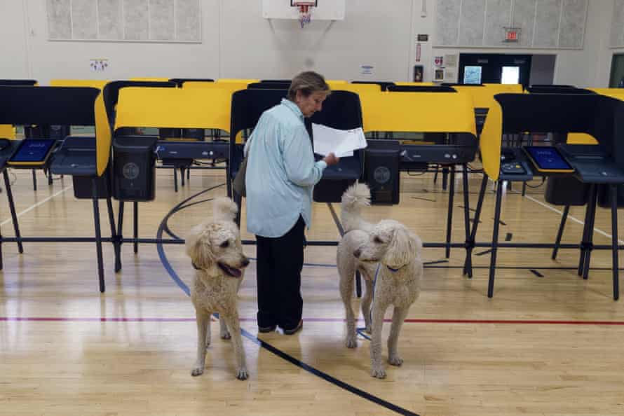 A voter with her dogs in Los Angeles County votes in the primary election on Tuesday, June 7.